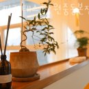 로모필라테스창원중동