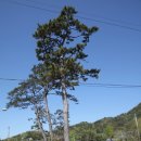 다전경로당 이미지