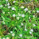 뽑기구멍가게 이미지