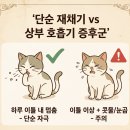 올스타동물의료센터 이미지