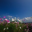 &#34;좋은 시는 여백에 댓글을 달게 한다.&#34;/샌드페블 이미지