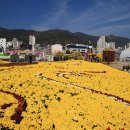 가고파플라워 이미지