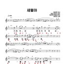 [C 키 대금] 세월아 --장윤정 ( Am) (산조청)| 이미지