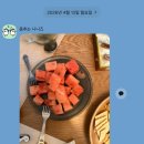 원두막메론