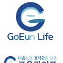 주식회사고은