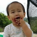 찬우농장 이미지