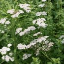 가산농장 이미지