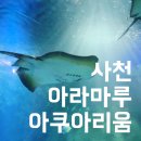 사천성당 버스정류소 | 경남 사천 여행코스 가볼만한곳 아라마루 아쿠아리움 내돈내산 추천 후기