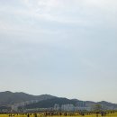 따뜻한 봄날에 유체꽃 축제장과 부산하구둑까지 걸으신 준·희선생님(4.10) 이미지