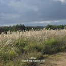 자연동산 이미지