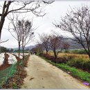 섬진강자전거길1 이미지