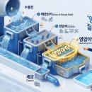 질(quality)