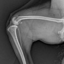 더바른동물병원 앞 이미지