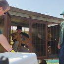 다니엘 농장 이미지