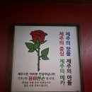장미맨숀제주 네이버블로그