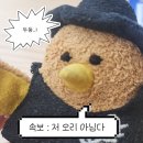 안녕하새우 | [공지] 안녕하새우 임세똥임둥