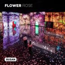 아르떼뮤지엄부산 이미지