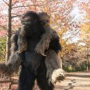 뉴욕안경원 이미지