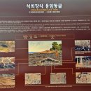 제주돌박물관 이미지