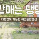 콩밭매는댕댕이