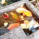 물빛 1,001회 모임 및 제42집 출판기념회, 『희고 눈부신 시간』 이미지