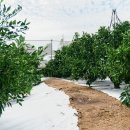 친한농장 이미지