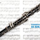 클라리넷 집중레슨 이미지