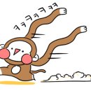 리펙트