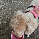 오어사 | [포항여행] 자연속 힐링공간 오어사 방문 후기