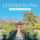 창녕-영산-영산센터-01 | 경남 창녕 영산 연지못 수양벚꽃 명소 봄 여름 드라이브 가볼만한곳
