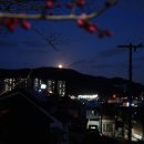 구름속 보름달 | [일상] 정월대보름 달맞이 🌕 구름에 가려지기 전, 찰나의 기록 (순천 매곡동 탐매마을 야경) ✨