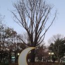 담방문화근린공원 이미지