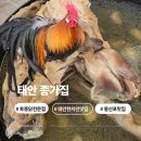 171 | [충남] 태안 몽산포 맛집 종가집 토종닭백숙 현지인맛집 묵은지닭도리탕