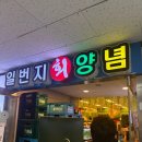 진도수산 | 🐟 노량진수산시장 진도진진수산 — 제철 방어회 찐맛집 후기