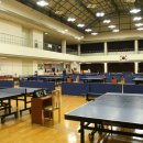 코리아체육관 이미지