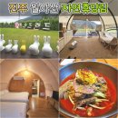 [목공 초급]옷걸이 만들기 | &lt;진주&gt; 월아산글램핑장 -7번 예약방법, 산림레포츠, 우드랜드, 하연옥