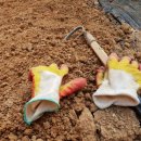 김영농장 이미지