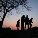 사랑나무 이미지