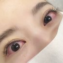 로브레아