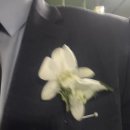 사회자가 바라보는 결혼식장 후기 ( 250531 압구정 삼원가든 )