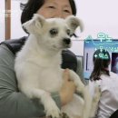 하트펫 동물병원 이미지