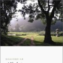 디자인사계 이미지