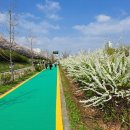 관악-현장-관악-00-01 이미지