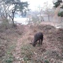 용미2리 이미지