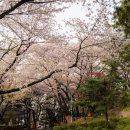 수봉궁도장 이미지