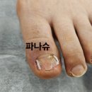 파나슈