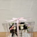 사동그린꽃 이미지