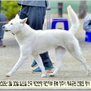 훈이애견 이미지
