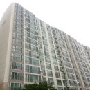 분당-391 이미지