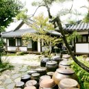 이화 스테이 이미지